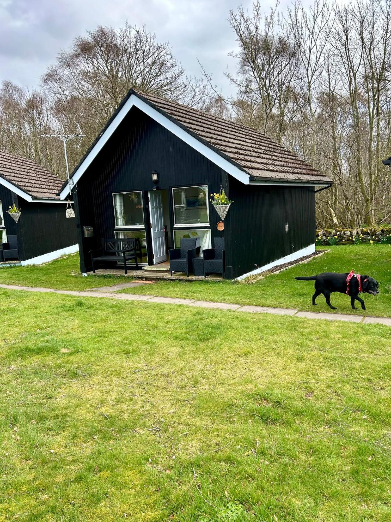 Kilcoy Chalets Muir of Ord Luaran gambar