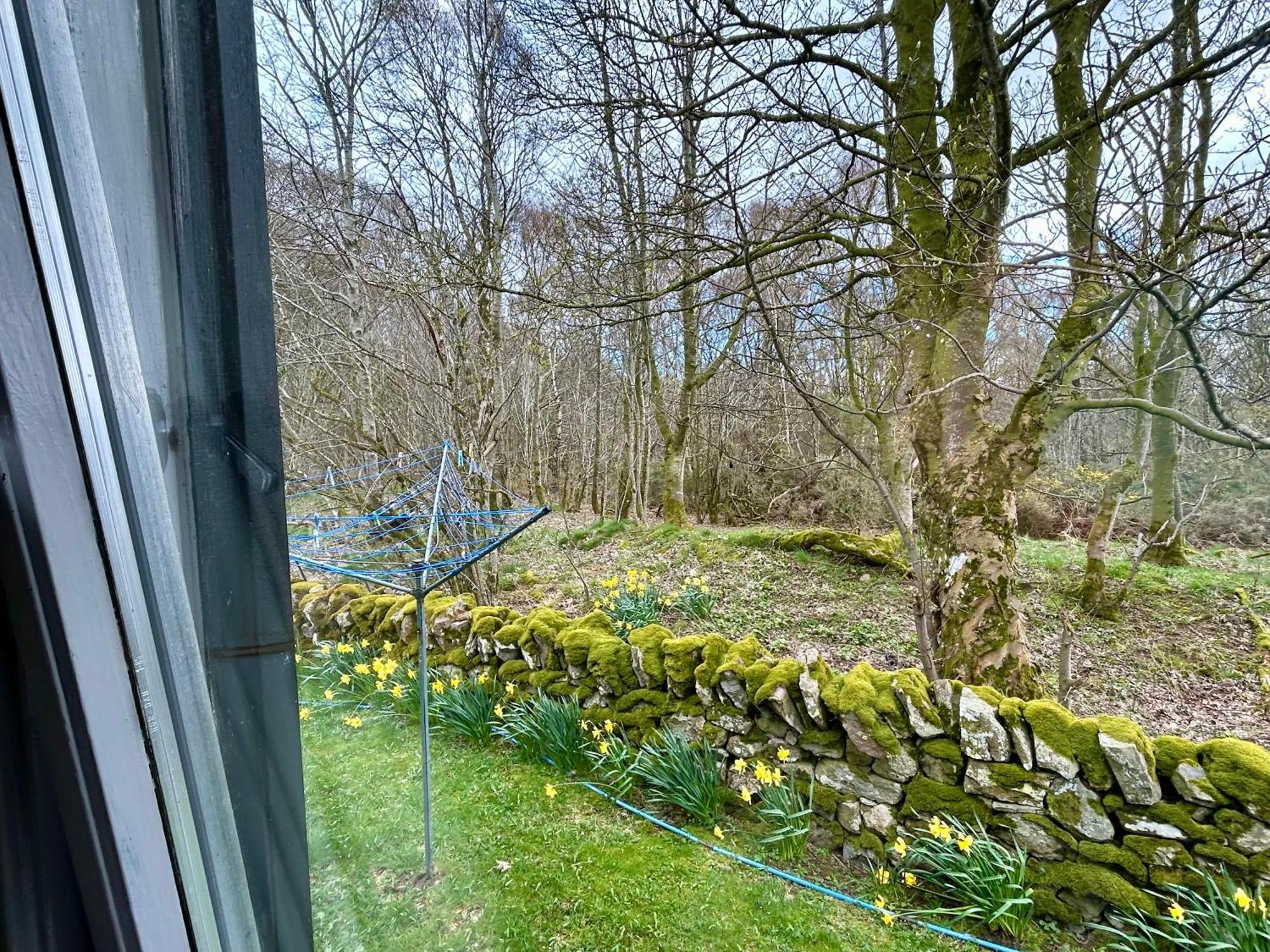 Kilcoy Chalets Muir of Ord Luaran gambar